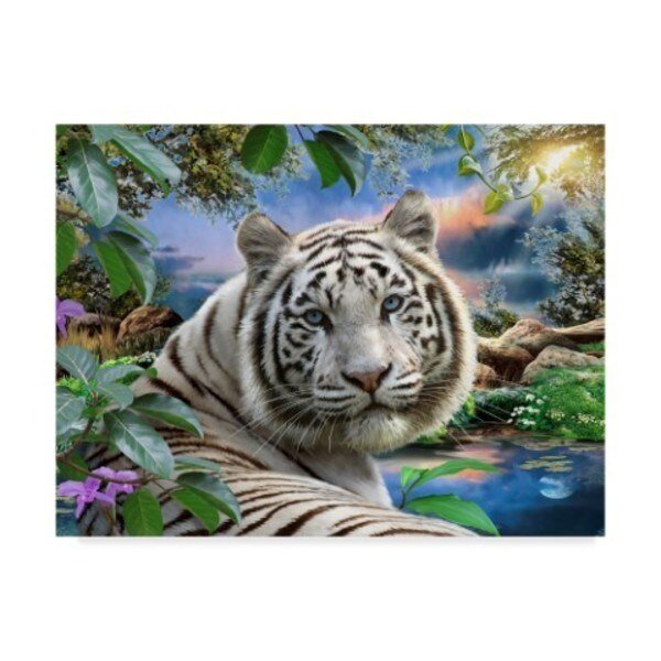 Howard Robinson 'The White Tiger' Canvas Art, 18x24, Trademark Fine Art, Mfr#: ALI23970-C1824GG